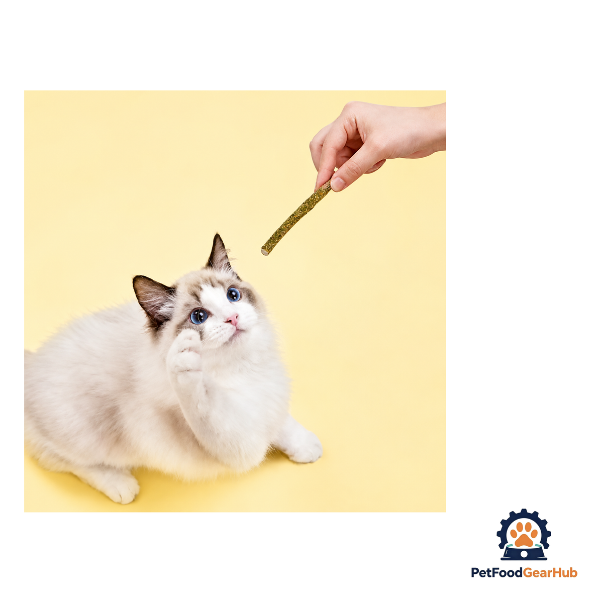 PetFoodGearHub Natural Silvervine Chew Sticks for Cats - 6 Pack - product image 2