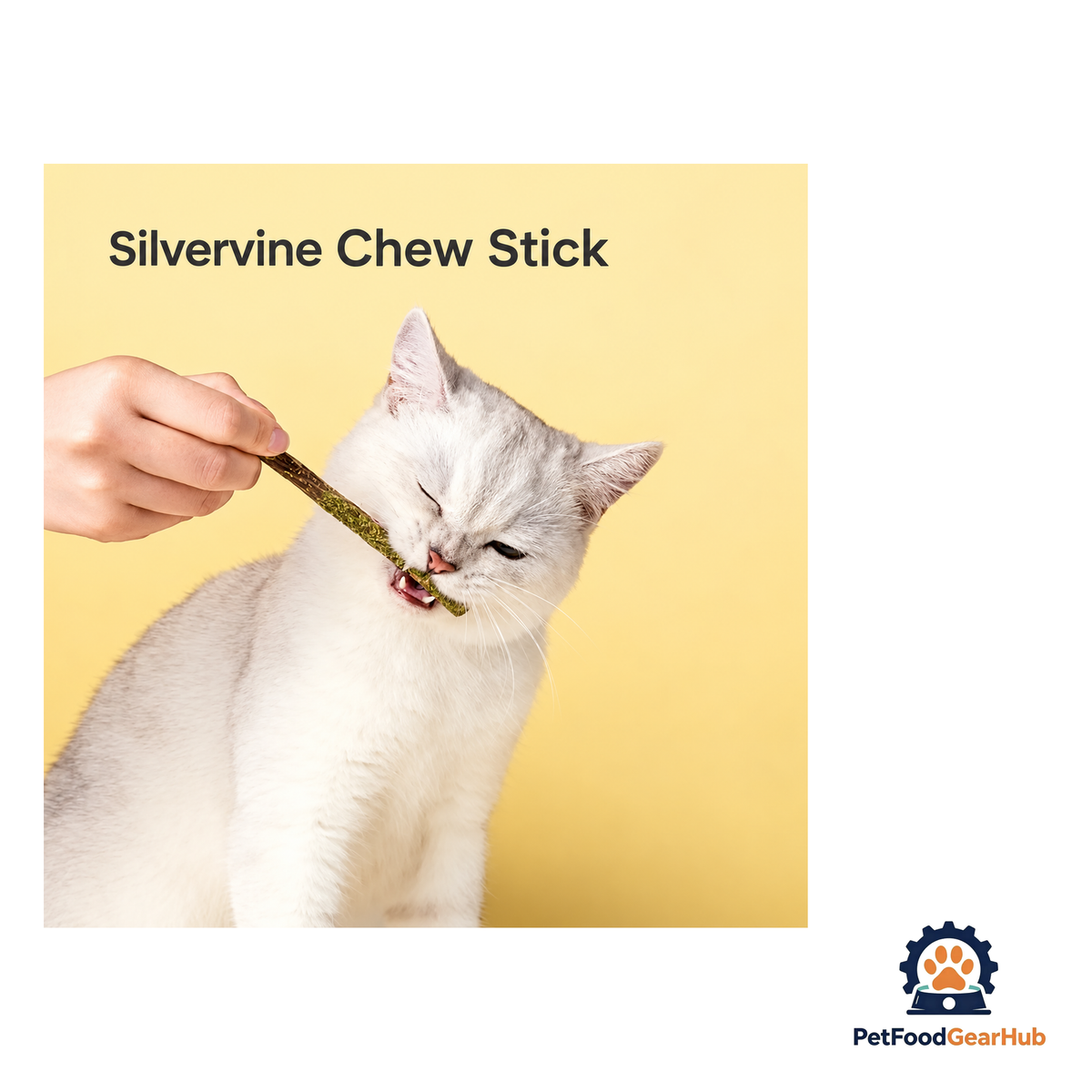 PetFoodGearHub Natural Silvervine Chew Sticks for Cats - 6 Pack - product image 3