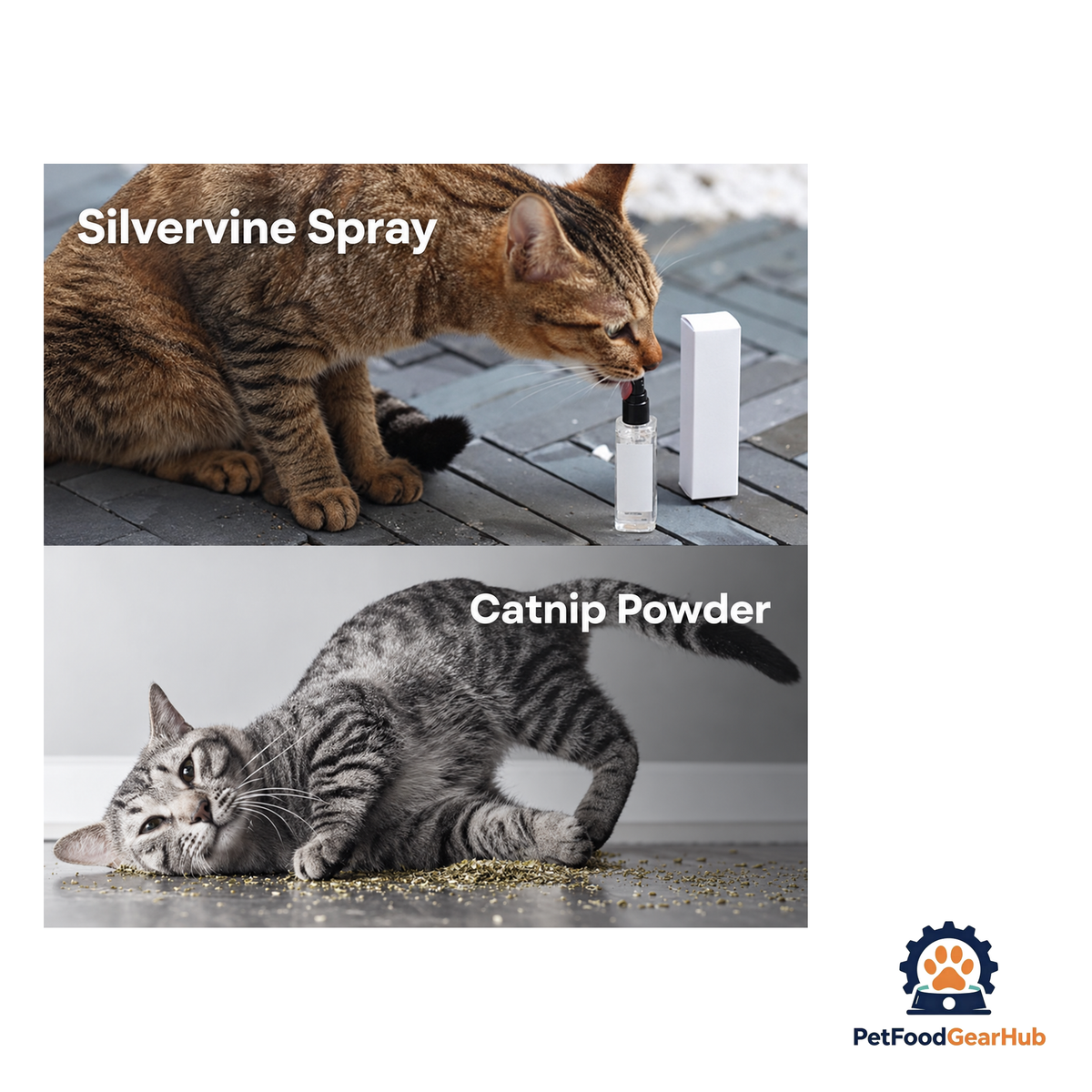 PetFoodGearHub Cat Interest Mist - product image 5