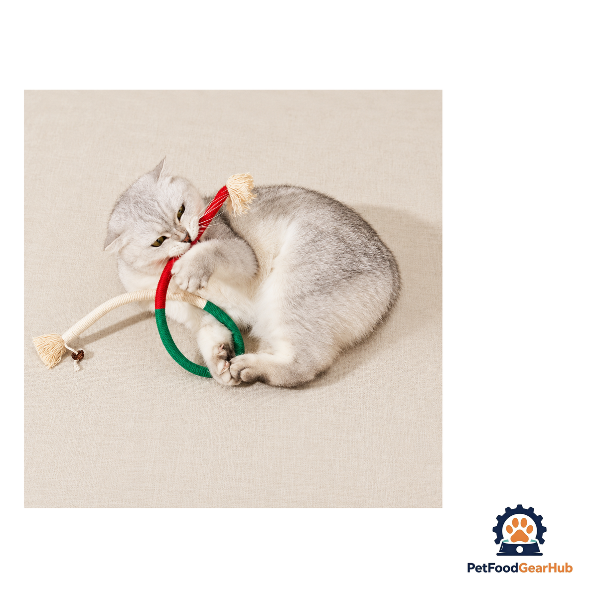 PetFoodGearHub Gall Fruit Cat Chew Ropes - Set of 3 - product image 2