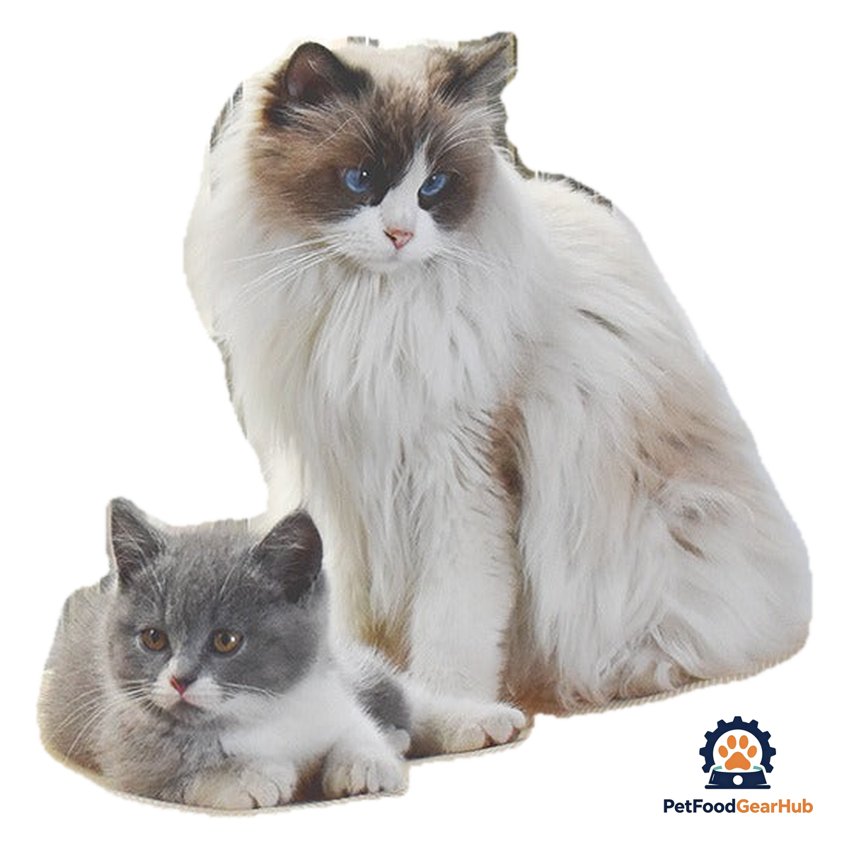 PetFoodGearHub Cordless Cat Window Perch - product image 1