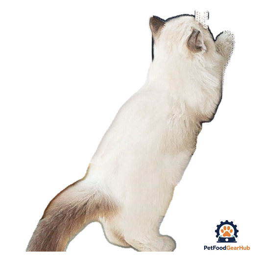 PetFoodGearHub Cactus Wall Scratcher - product image 1