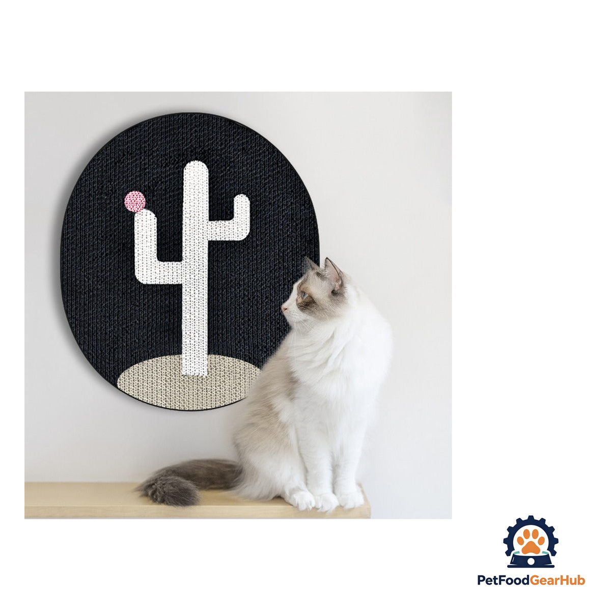 PetFoodGearHub Cactus Wall Scratcher - product image 3