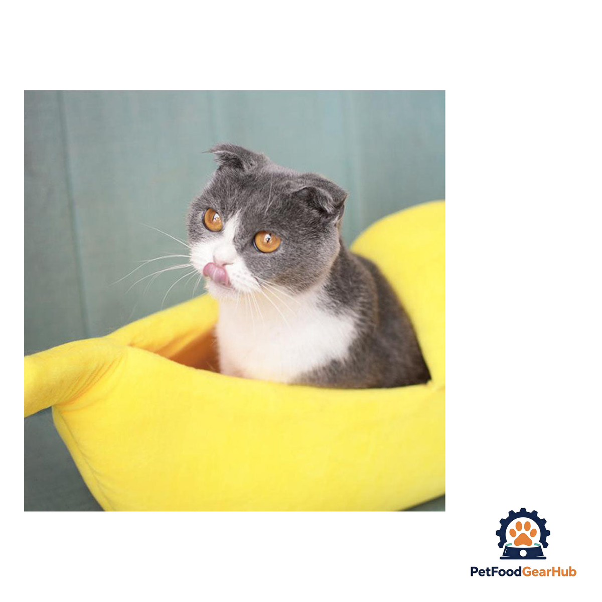 PetFoodGearHub Cozy Banana-Shaped Cat Bed - product image 5