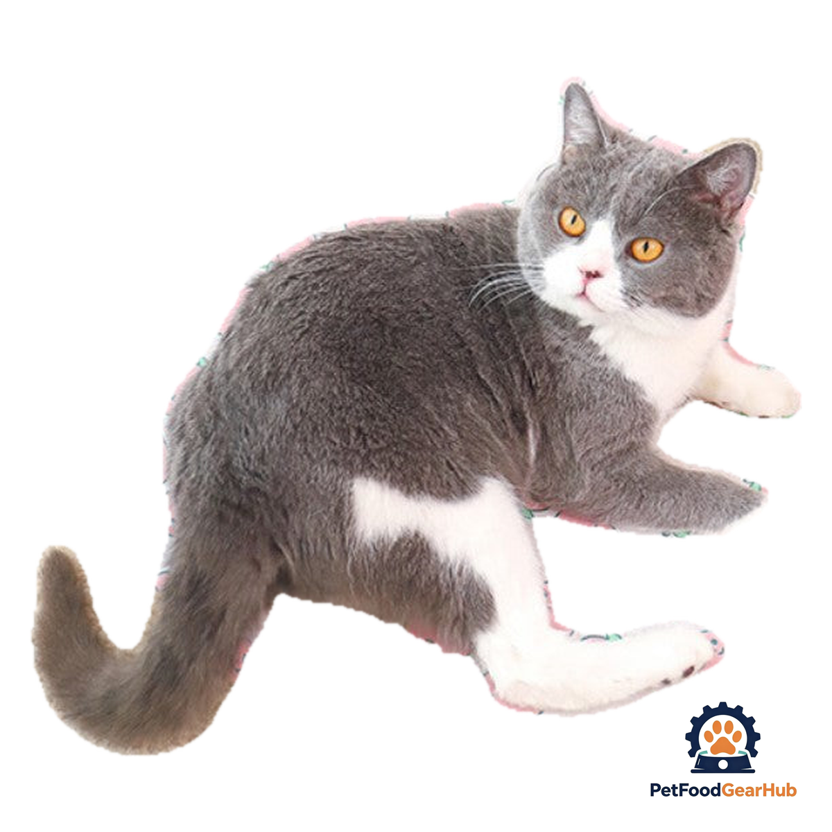 PetFoodGearHub Elevated Cat and Dog Hammock Bed - product image 1