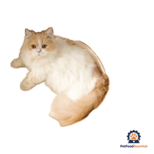 PetFoodGearHub Cat Comfort Nest - product image 1