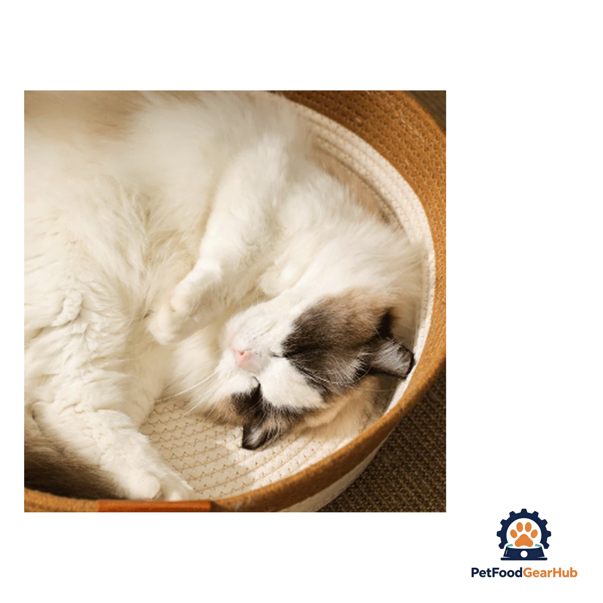 PetFoodGearHub Cat Comfort Nest - product image 3