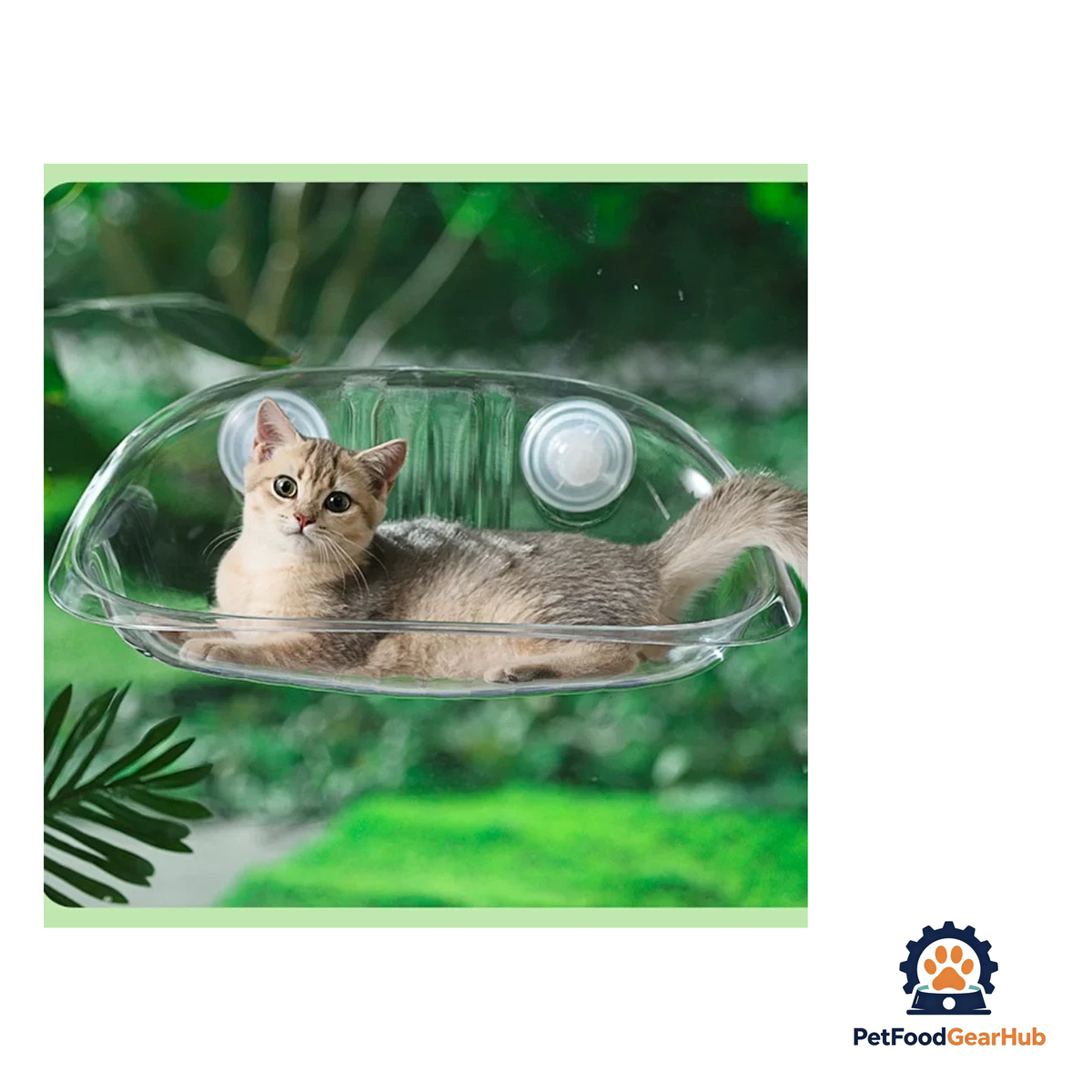 PetFoodGearHub Universal Cat Window Hammock - Cozy Sunbathing Perch - product image 3