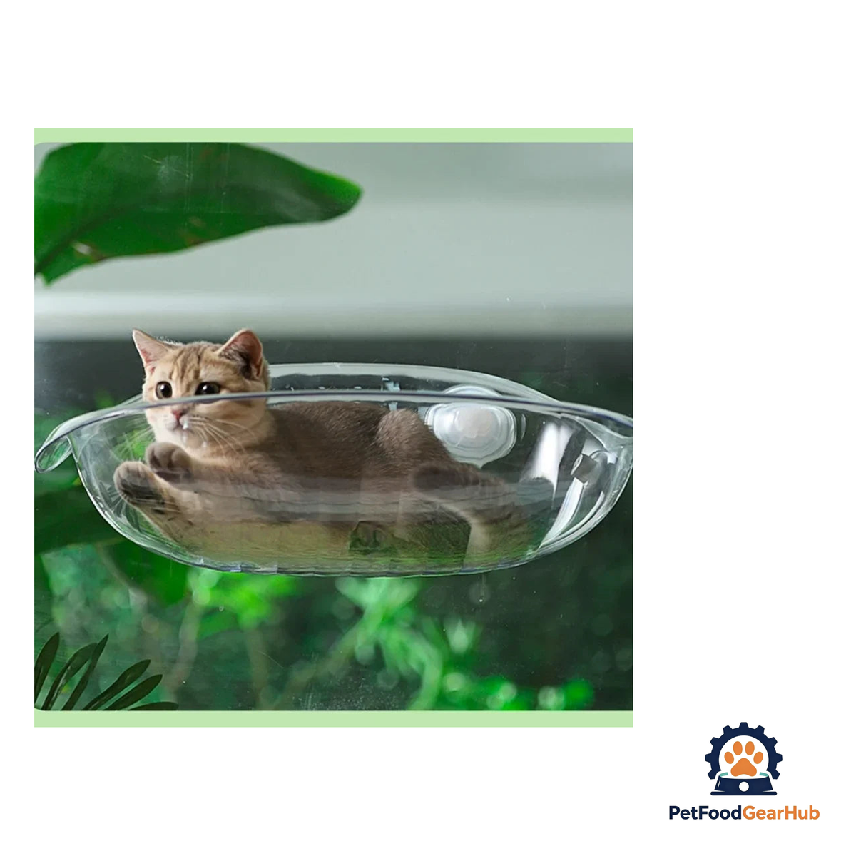 PetFoodGearHub Universal Cat Window Hammock - Cozy Sunbathing Perch - product image 4