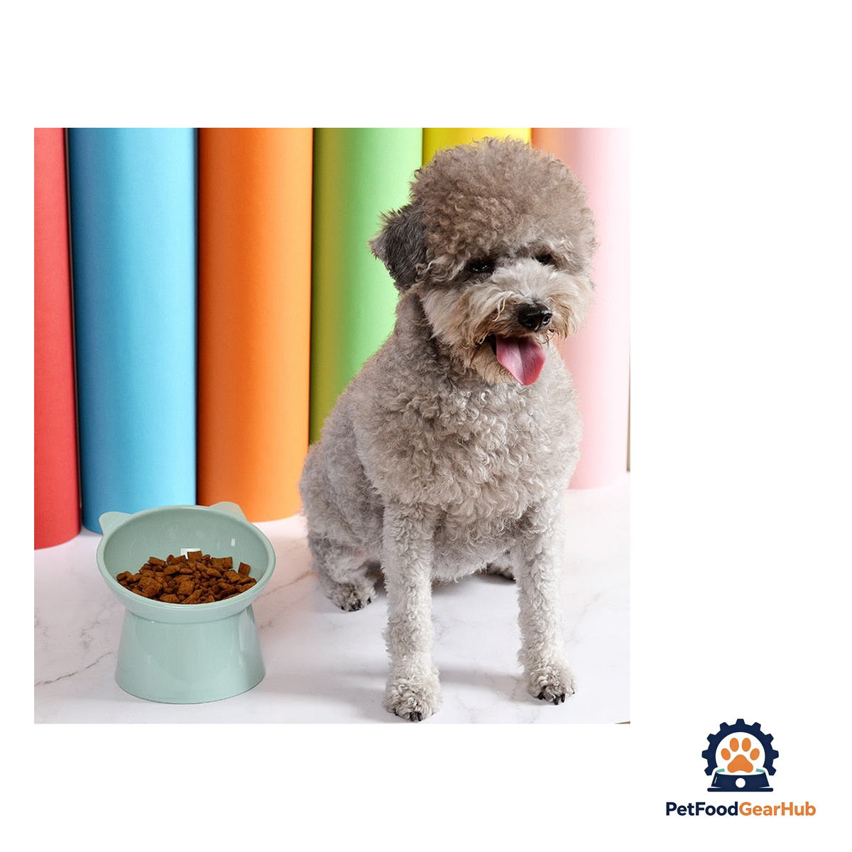 PetFoodGearHub Cat Eating Bowl with Anti-Slip Base - product image 2