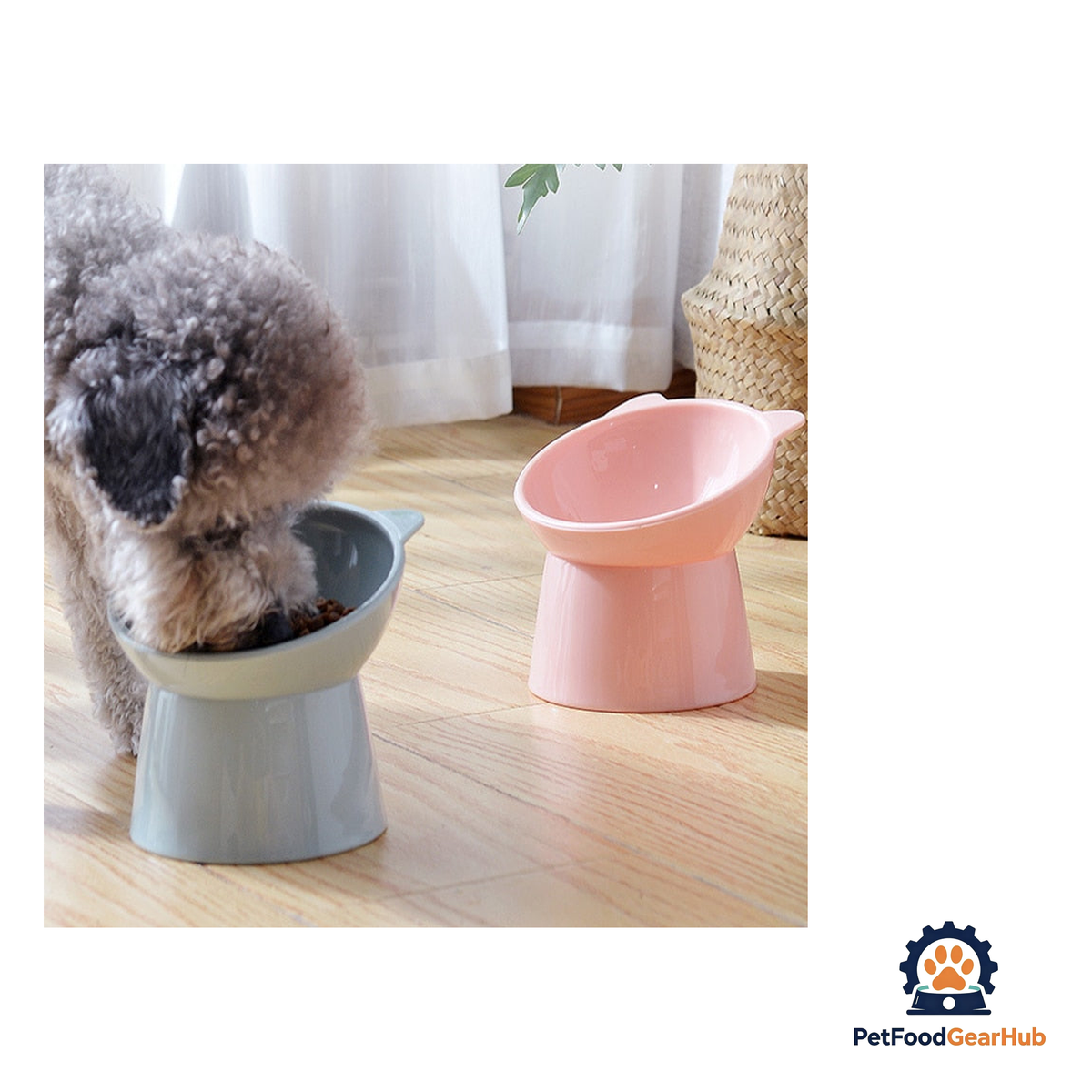 PetFoodGearHub Cat Eating Bowl with Anti-Slip Base - product image 3