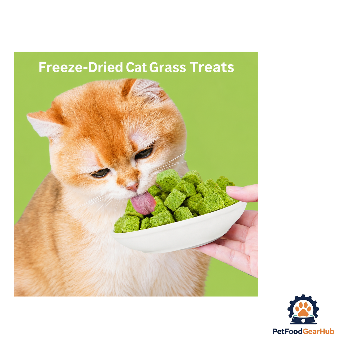 PetFoodGearHub Freeze-Dried Catgrass Biscuits - product image 4