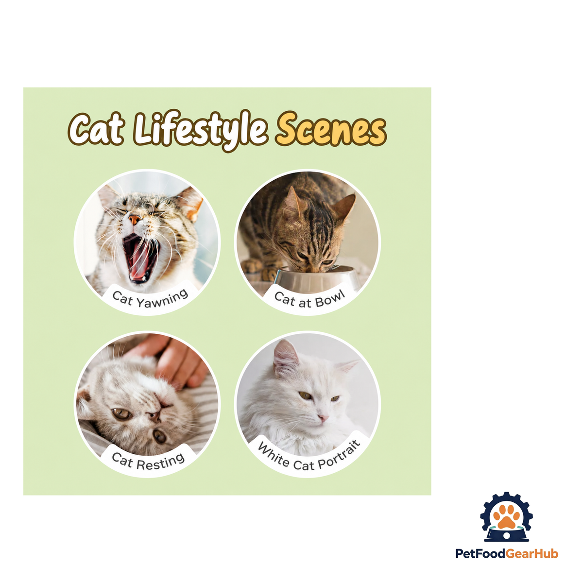 PetFoodGearHub Cat Treat - product image 5