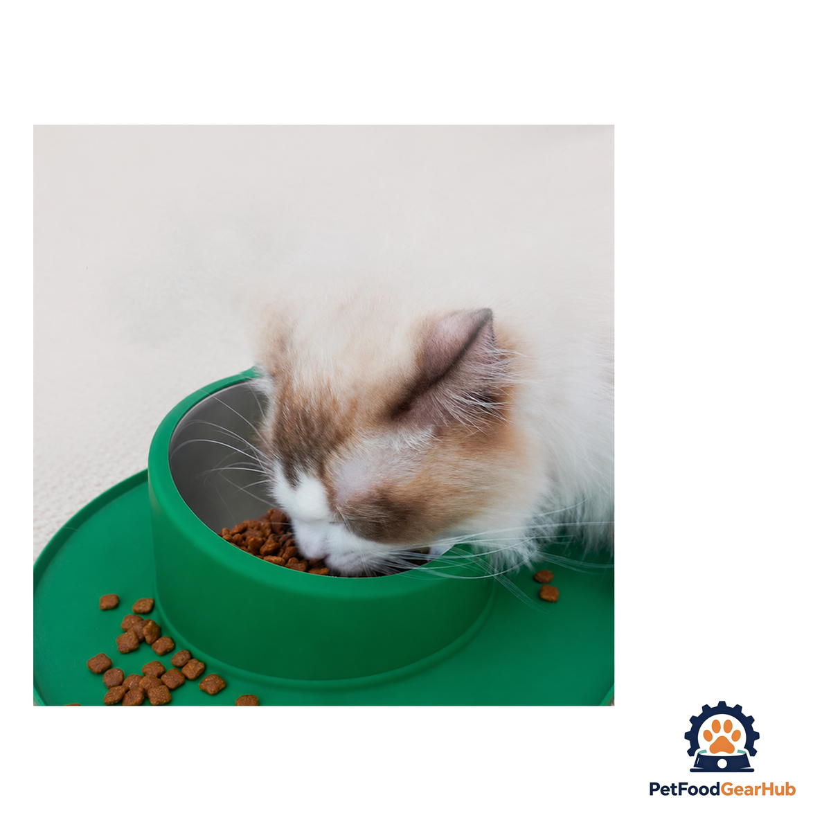 PetFoodGearHub Non-Slip Cat Bowl - product image 3