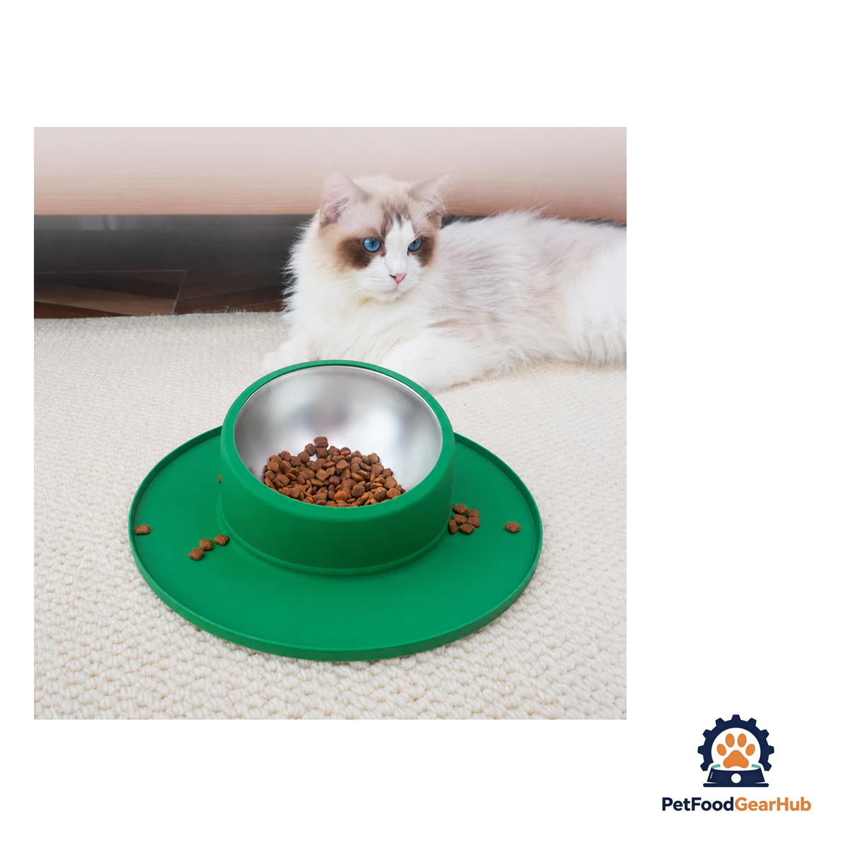 PetFoodGearHub Non-Slip Cat Bowl - product image 6