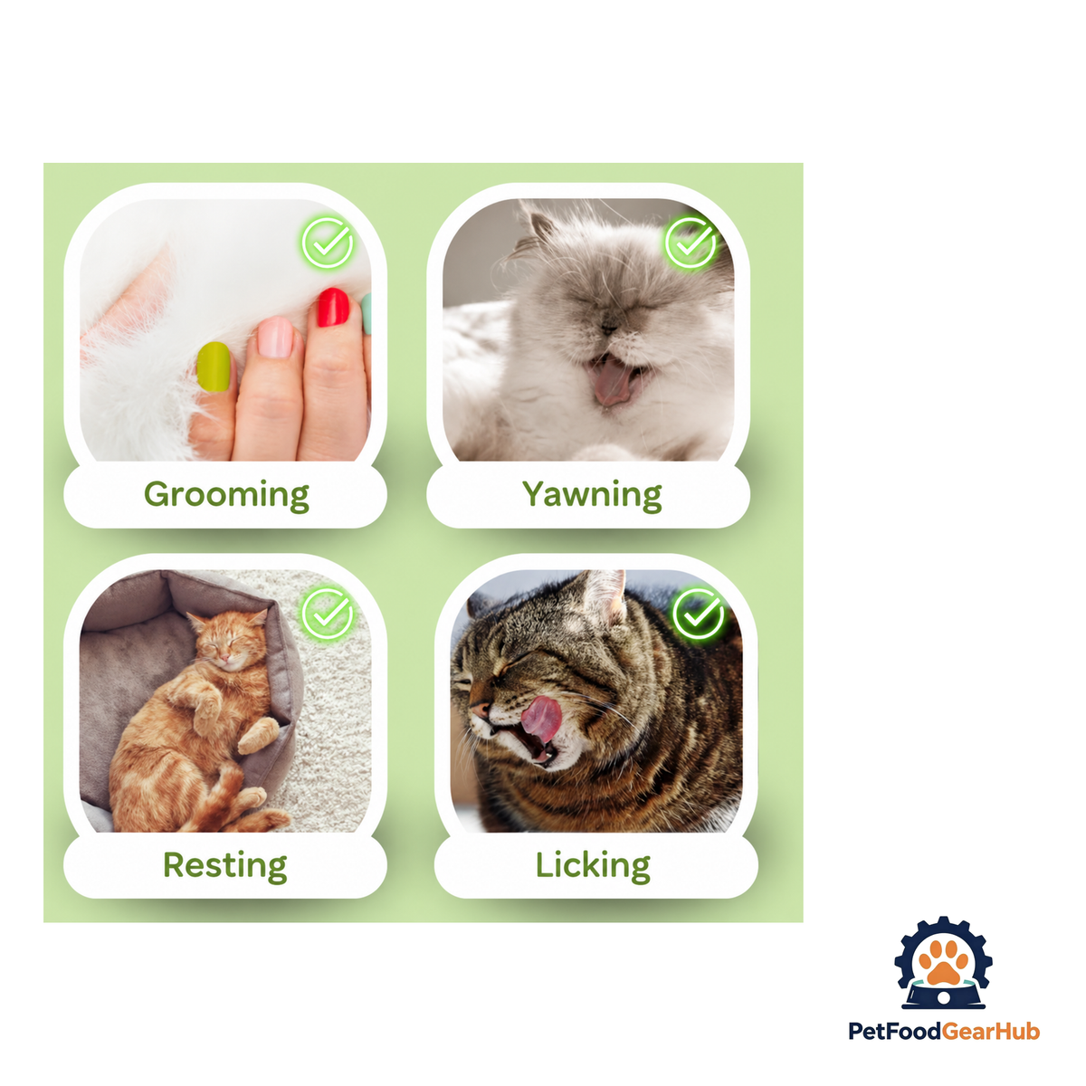 PetFoodGearHub Creamy Cat Grass Treat - product image 3