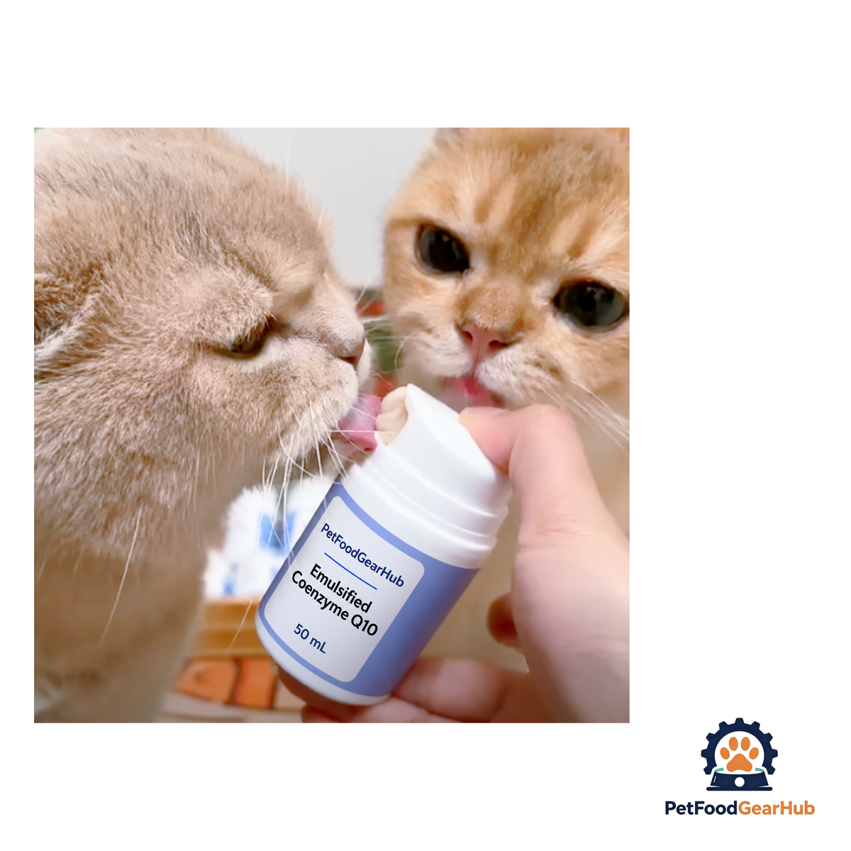PetFoodGearHub CoQ10 Creamy Pump Treat for Cats & Dogs, 50 mL - product image 3