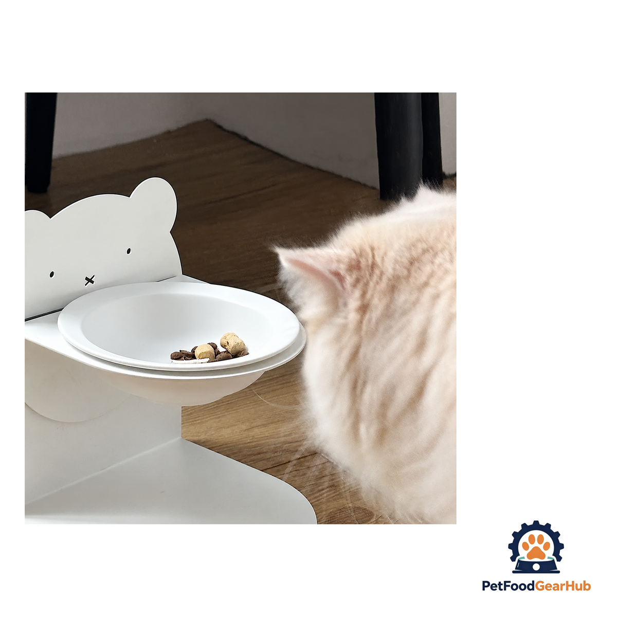 PetFoodGearHub Adjustable Magnetic Ceramic Cat Bowl - product image 9