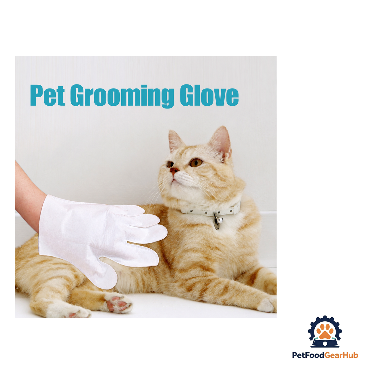PetFoodGearHub Cat Dry Cleaning Gloves (6pcs/pack) - product image 4