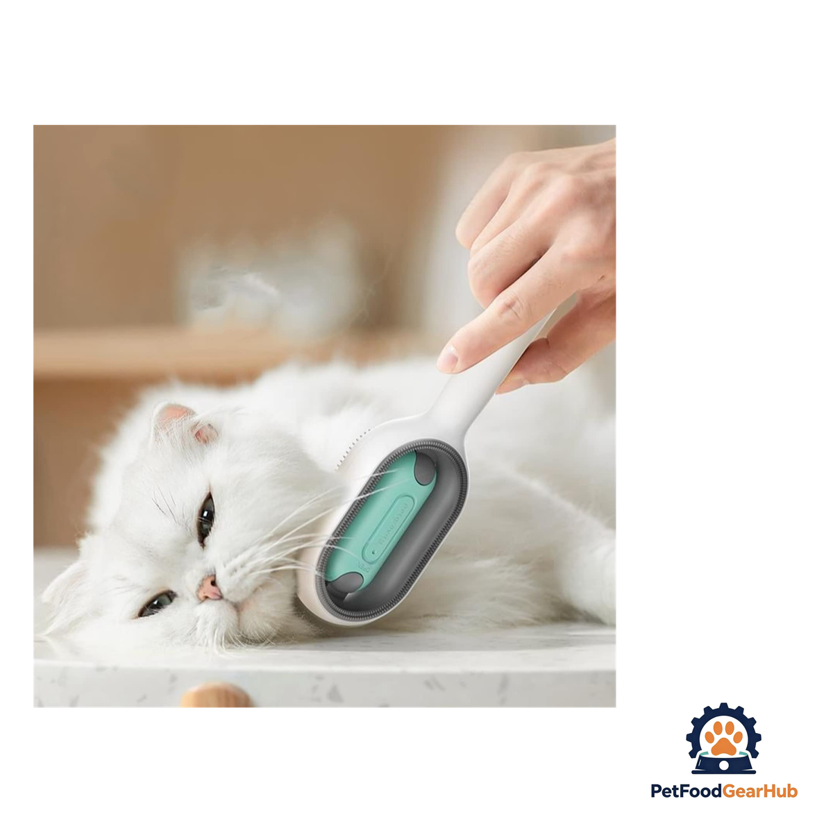PetFoodGearHub Reusable Pet Hair Cleaning Brush - product image 10