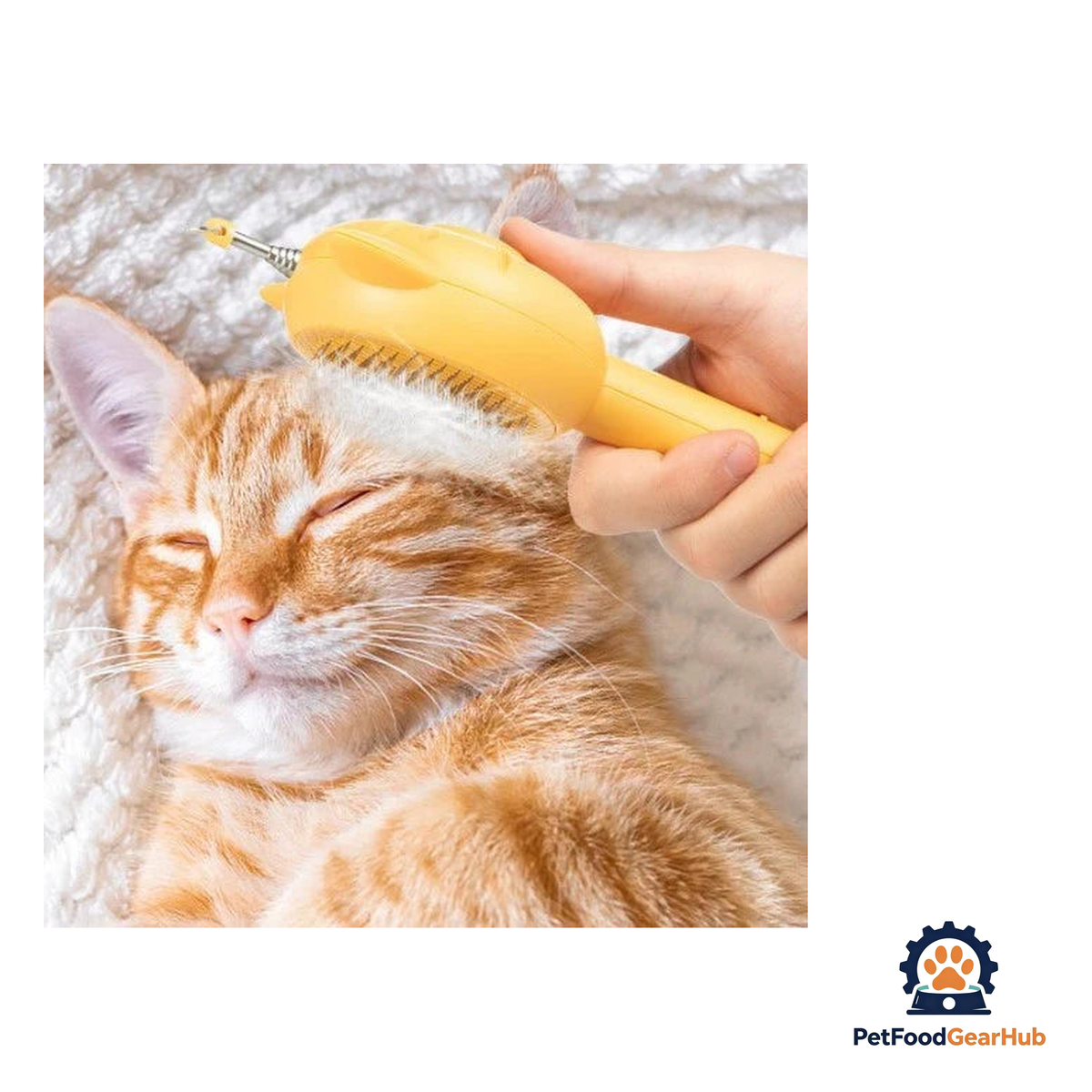 PetFoodGearHub All-in-one Self-Cleaning Cat Brush & Toy - product image 5