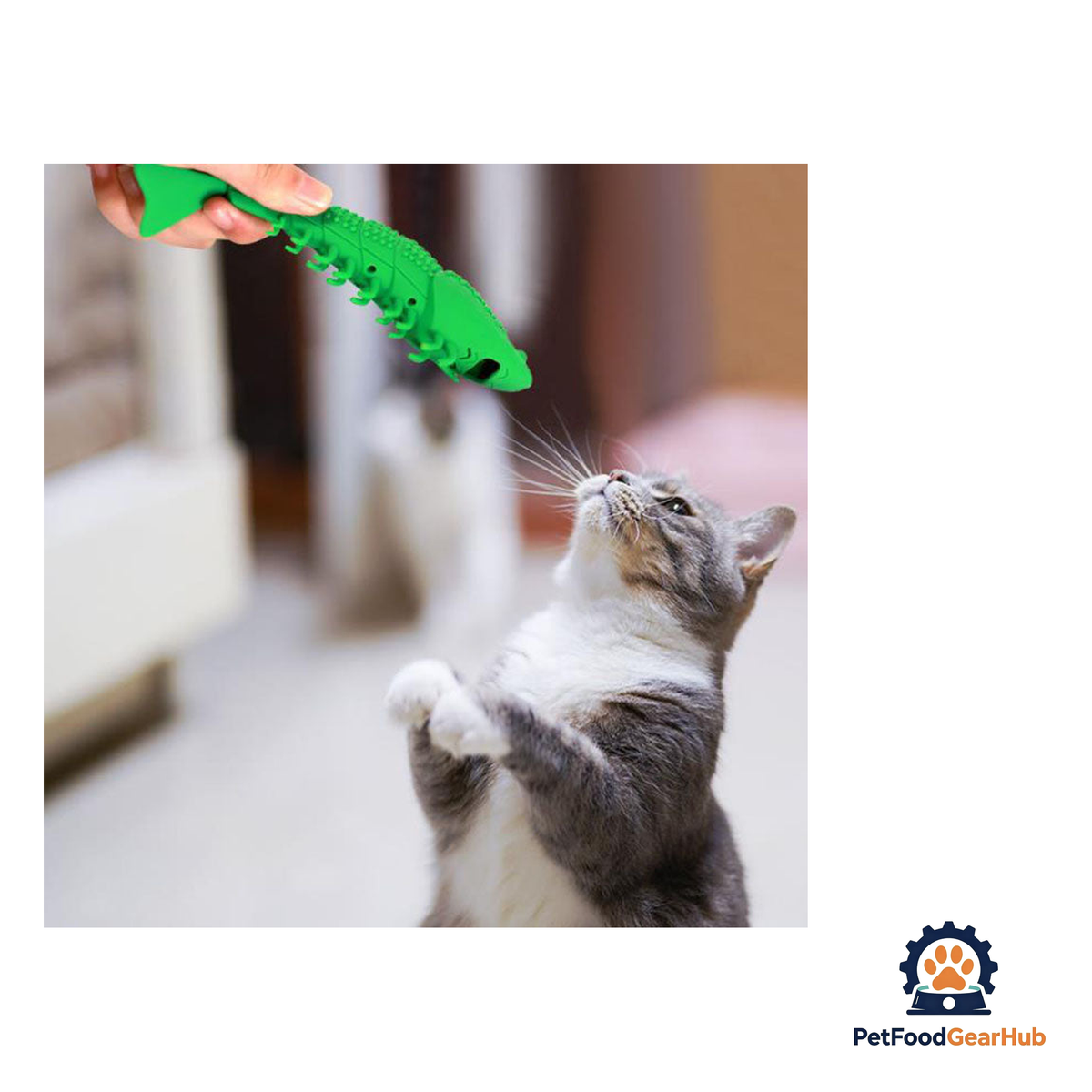 PetFoodGearHub Interactive Cat Toothbrush - product image 4