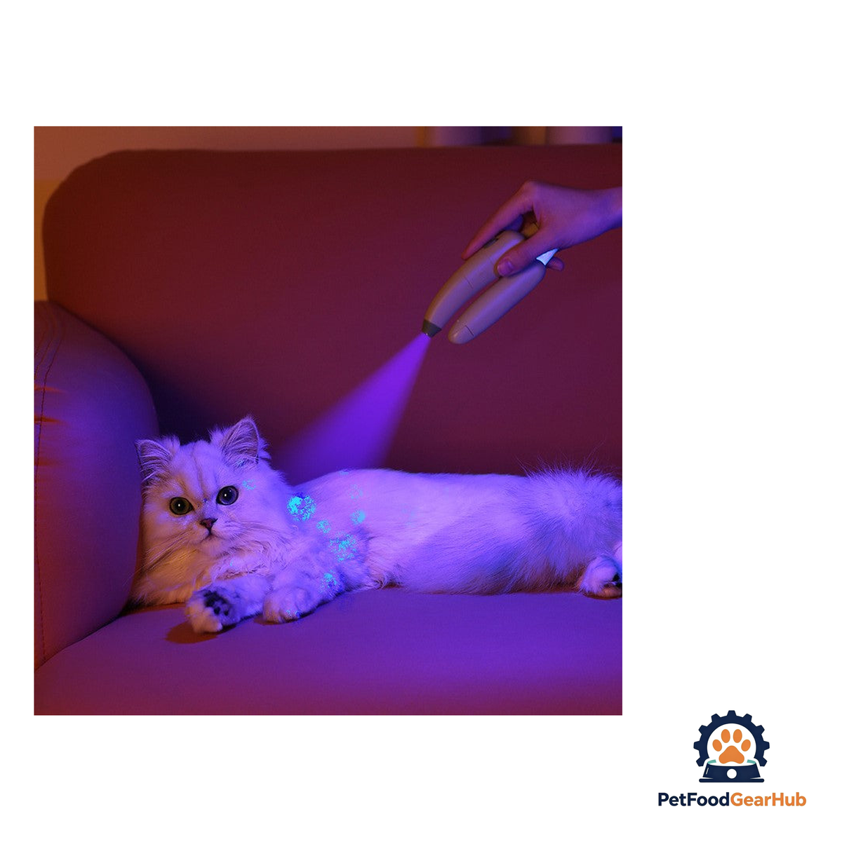 PetFoodGearHub All-in-One Pet Nail Clipper - product image 5