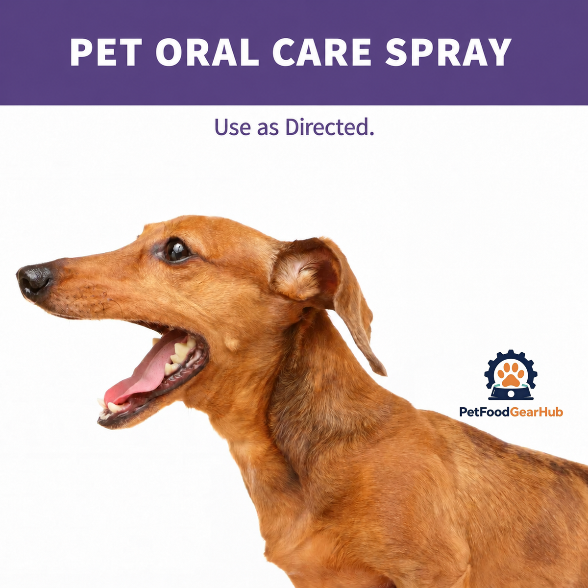 PetFoodGearHub 50 mL Pet Oral Care Spray for Cats and Dogs - product image 4