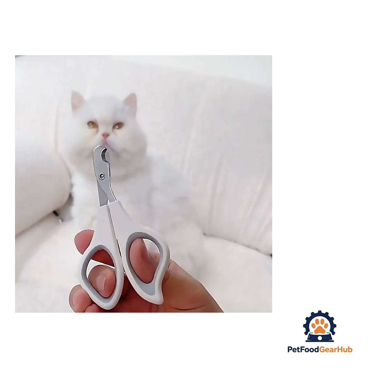 PetFoodGearHub Pet Nail Trimmer - product image 8