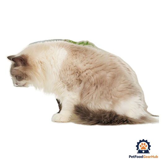 PetFoodGearHub Three-Mode Sensor-Activated Pet Fountain - product image 1