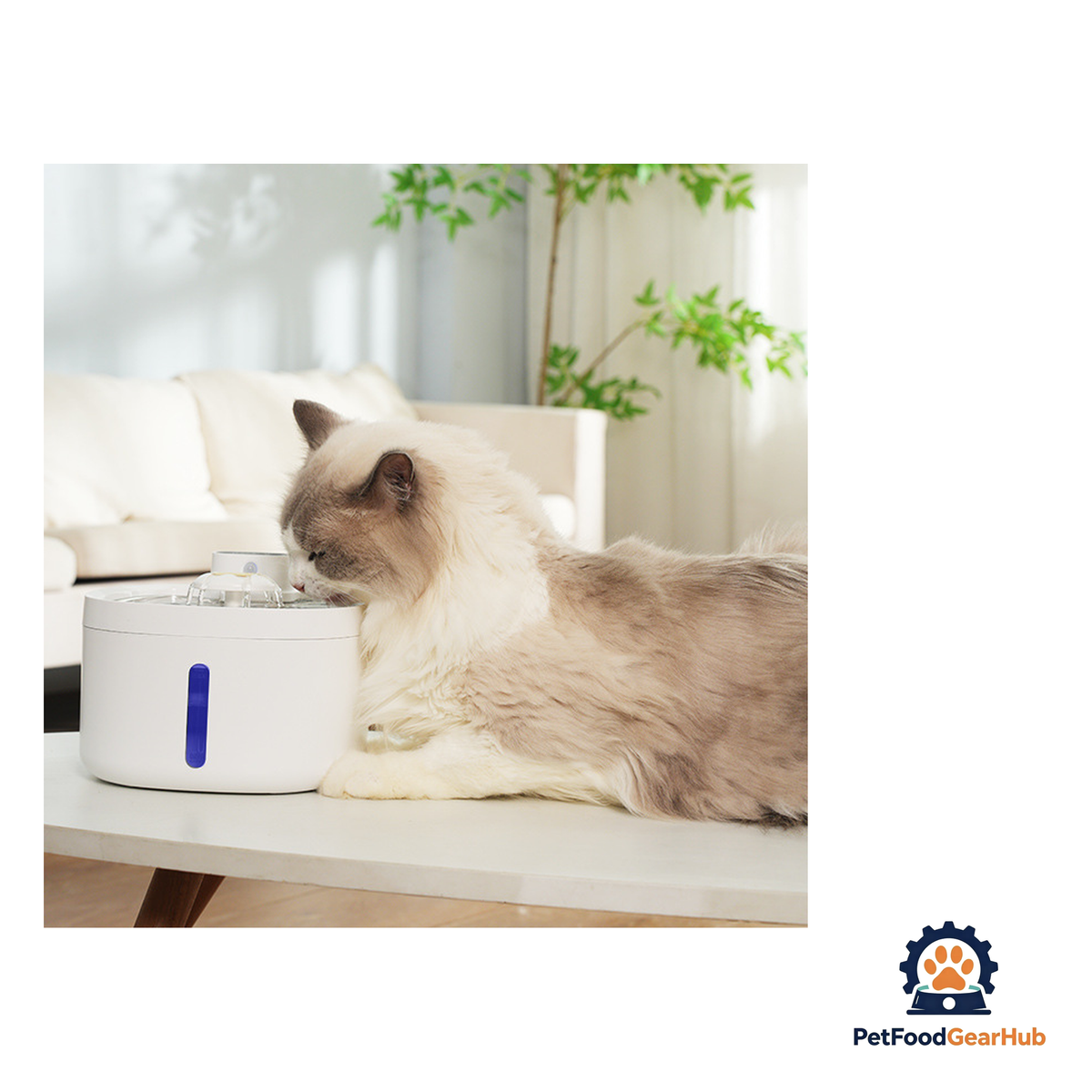 PetFoodGearHub Three-Mode Sensor-Activated Pet Fountain - product image 8