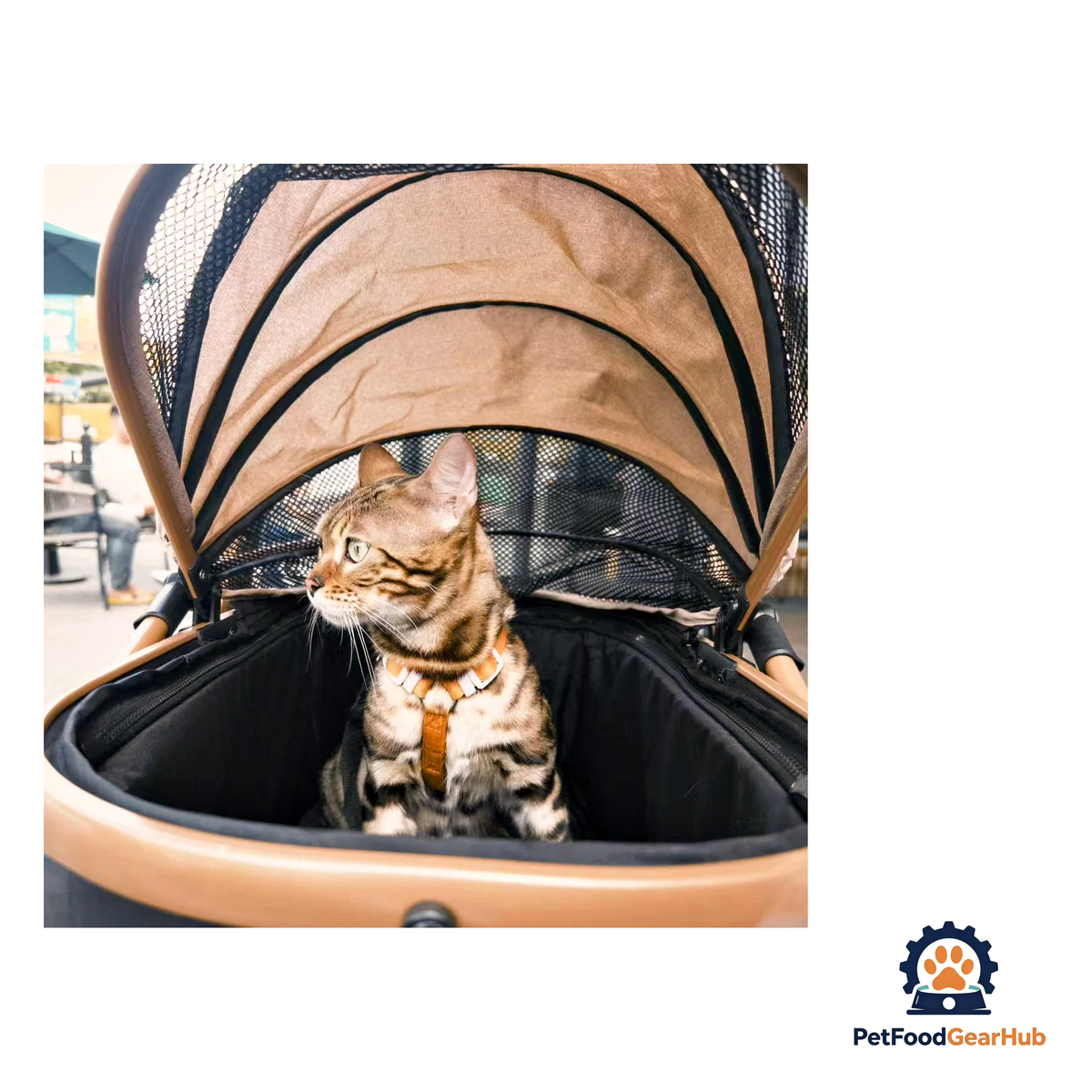 PetFoodGearHub 2-in-1 Foldable Pet Stroller - product image 14