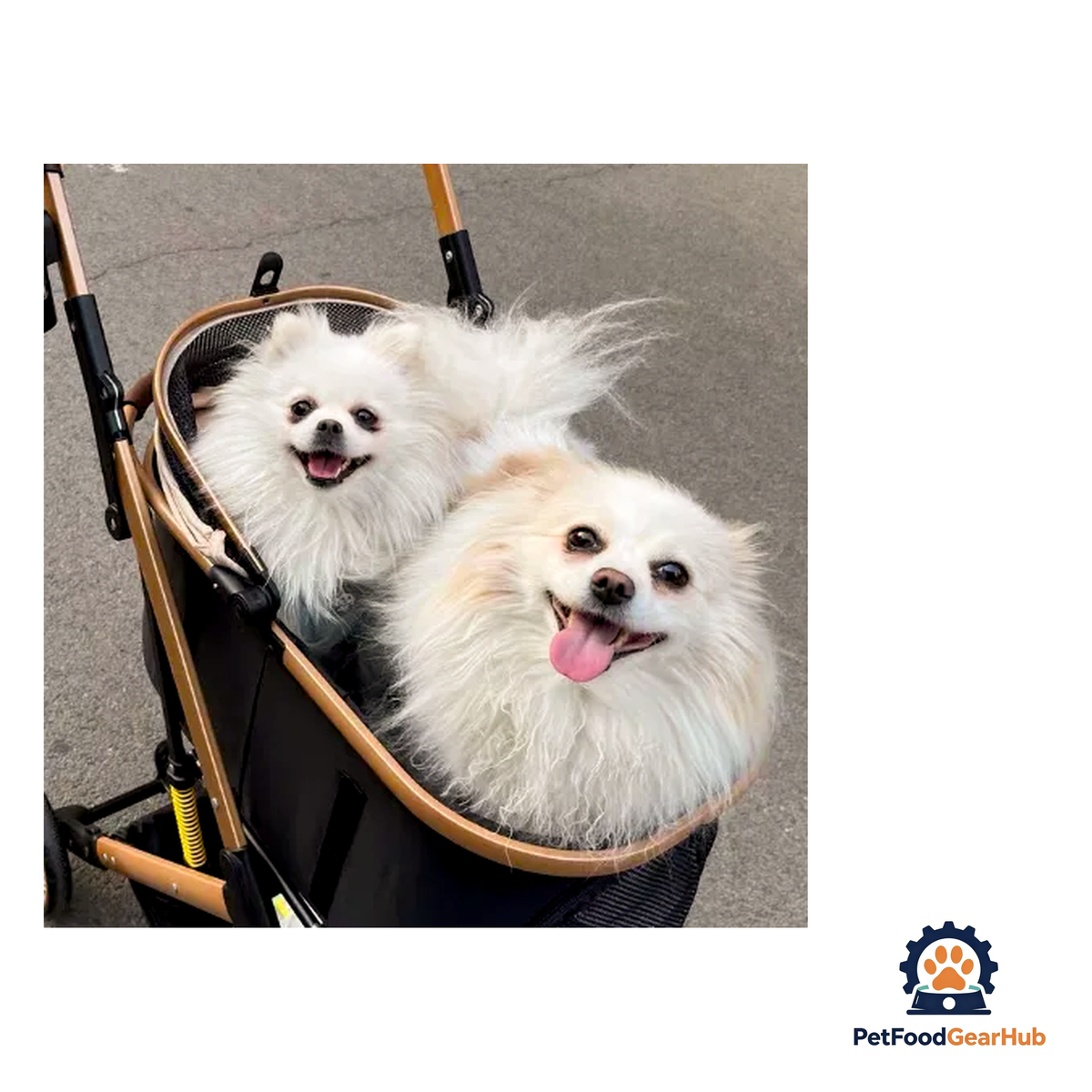 PetFoodGearHub 2-in-1 Foldable Pet Stroller - product image 22