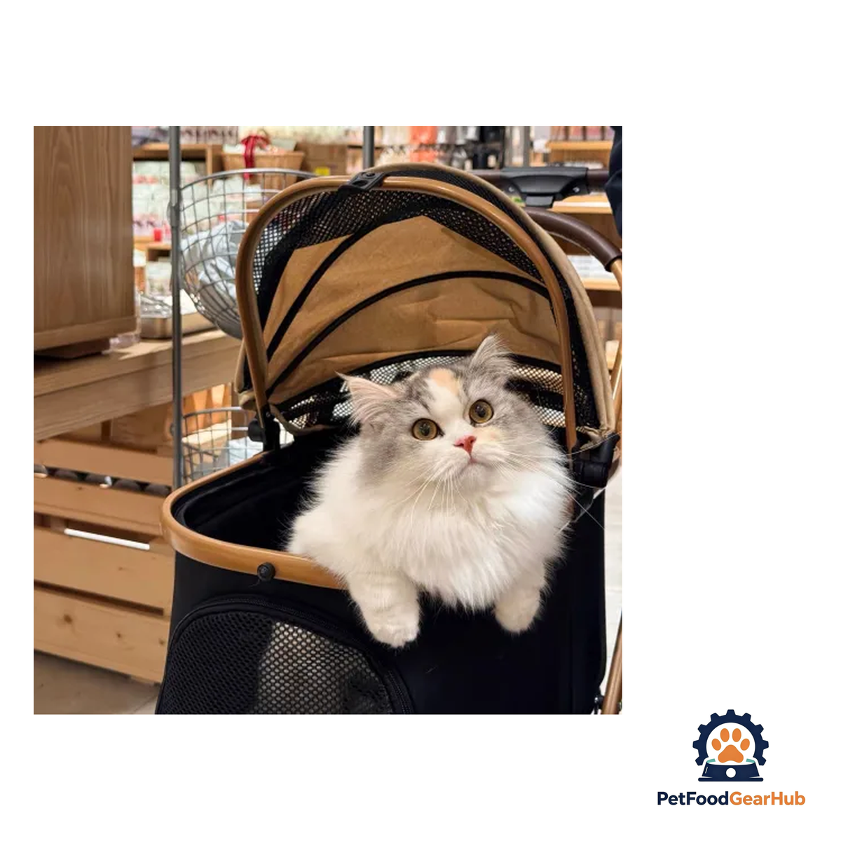 PetFoodGearHub 2-in-1 Foldable Pet Stroller - product image 23
