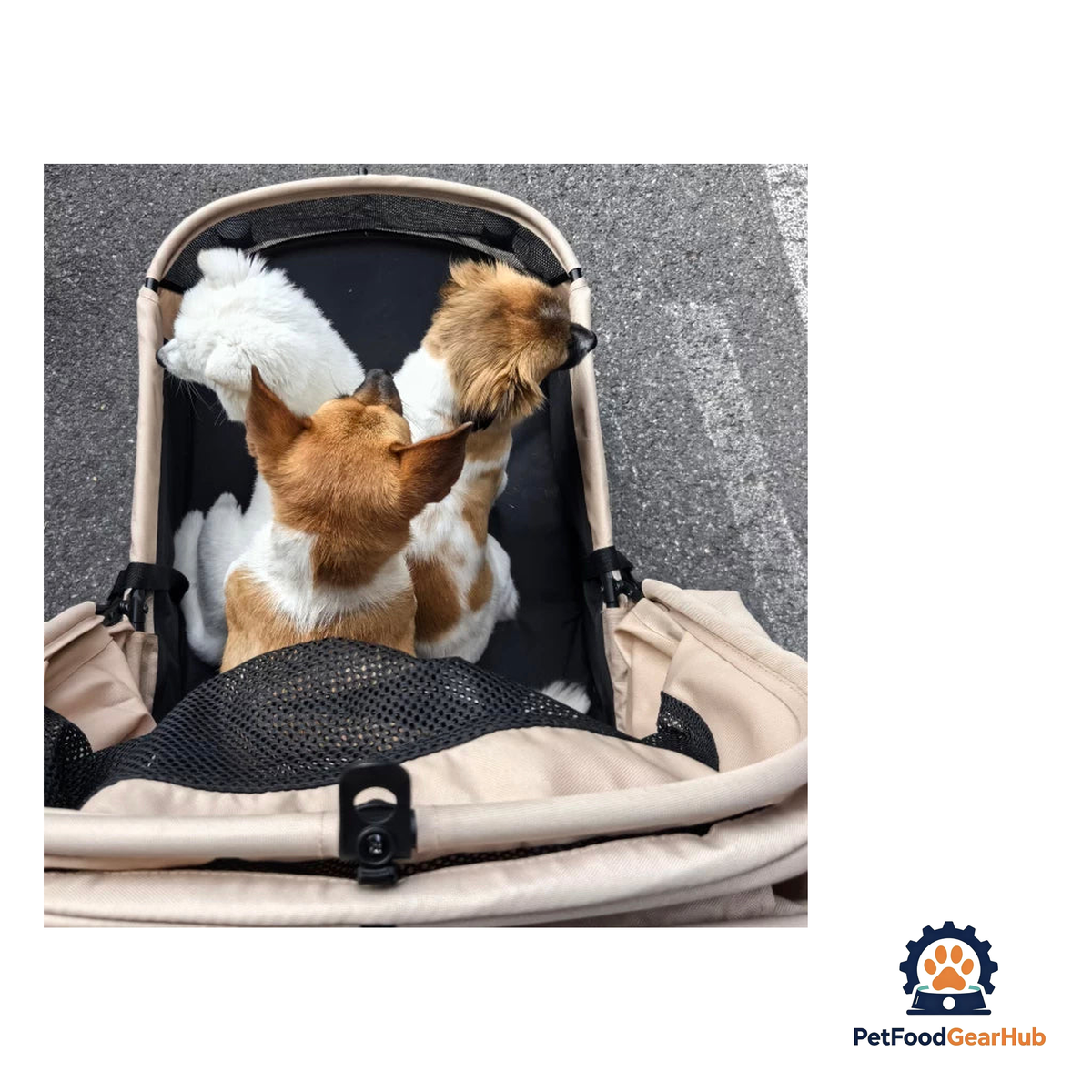PetFoodGearHub Large Foldable Pet Stroller with Ramp - product image 5