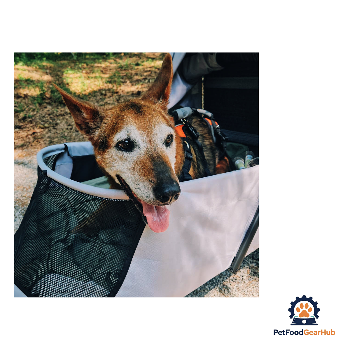PetFoodGearHub Large Foldable Pet Stroller with Ramp - product image 8