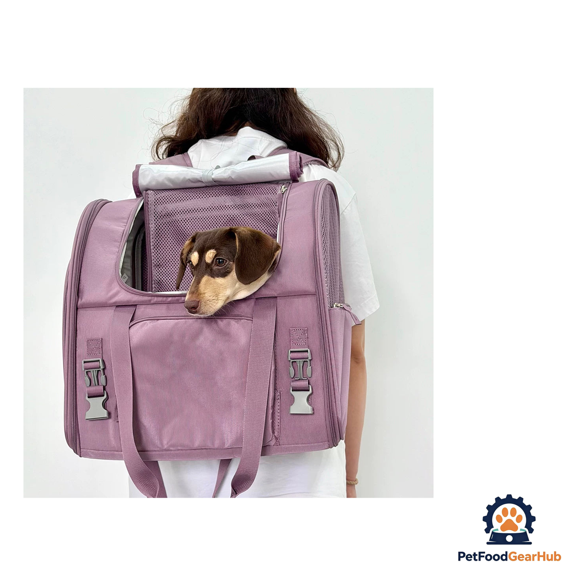 PetFoodGearHub Travel-Ready Expandable Pet Backpack - product image 3