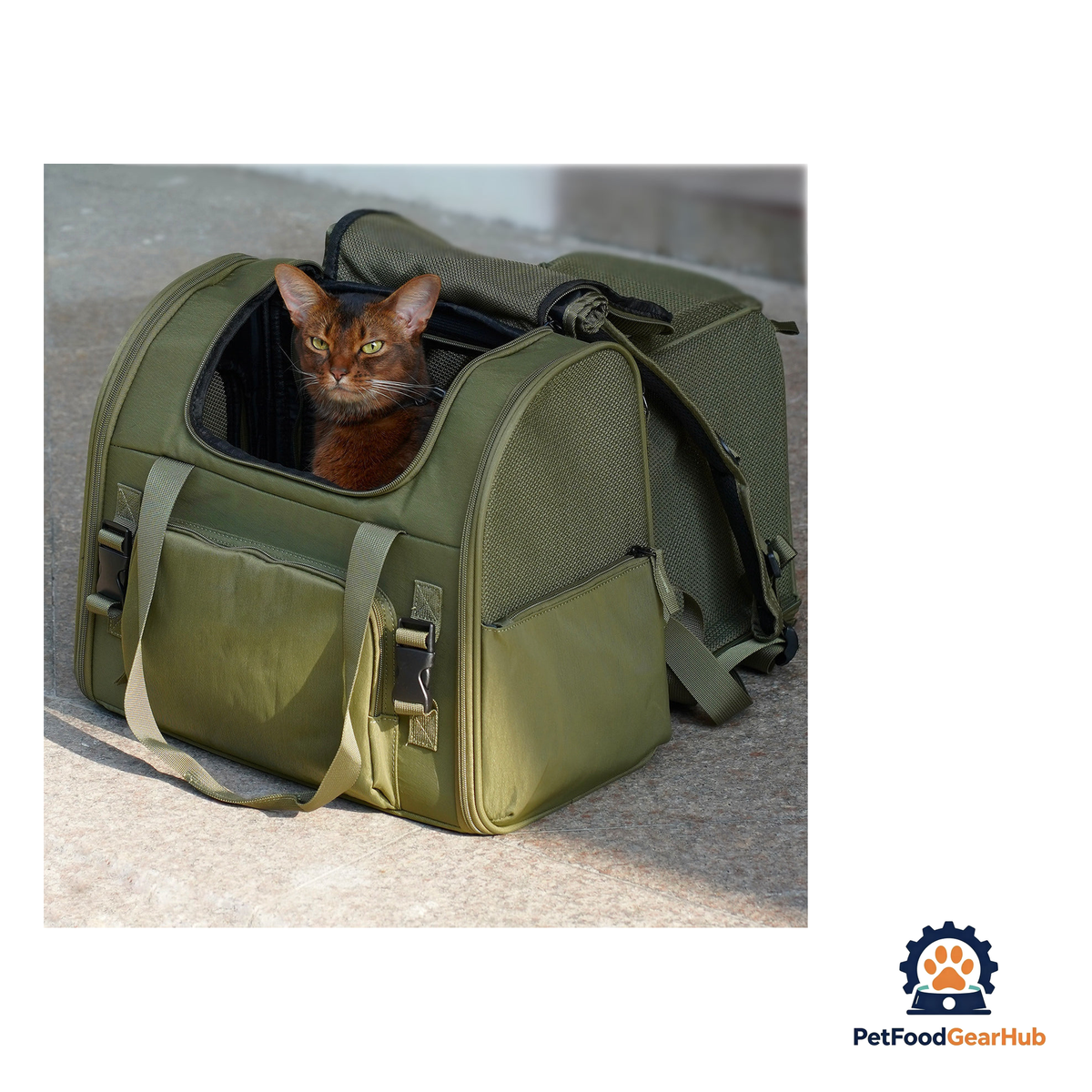 PetFoodGearHub Travel-Ready Expandable Pet Backpack - product image 6