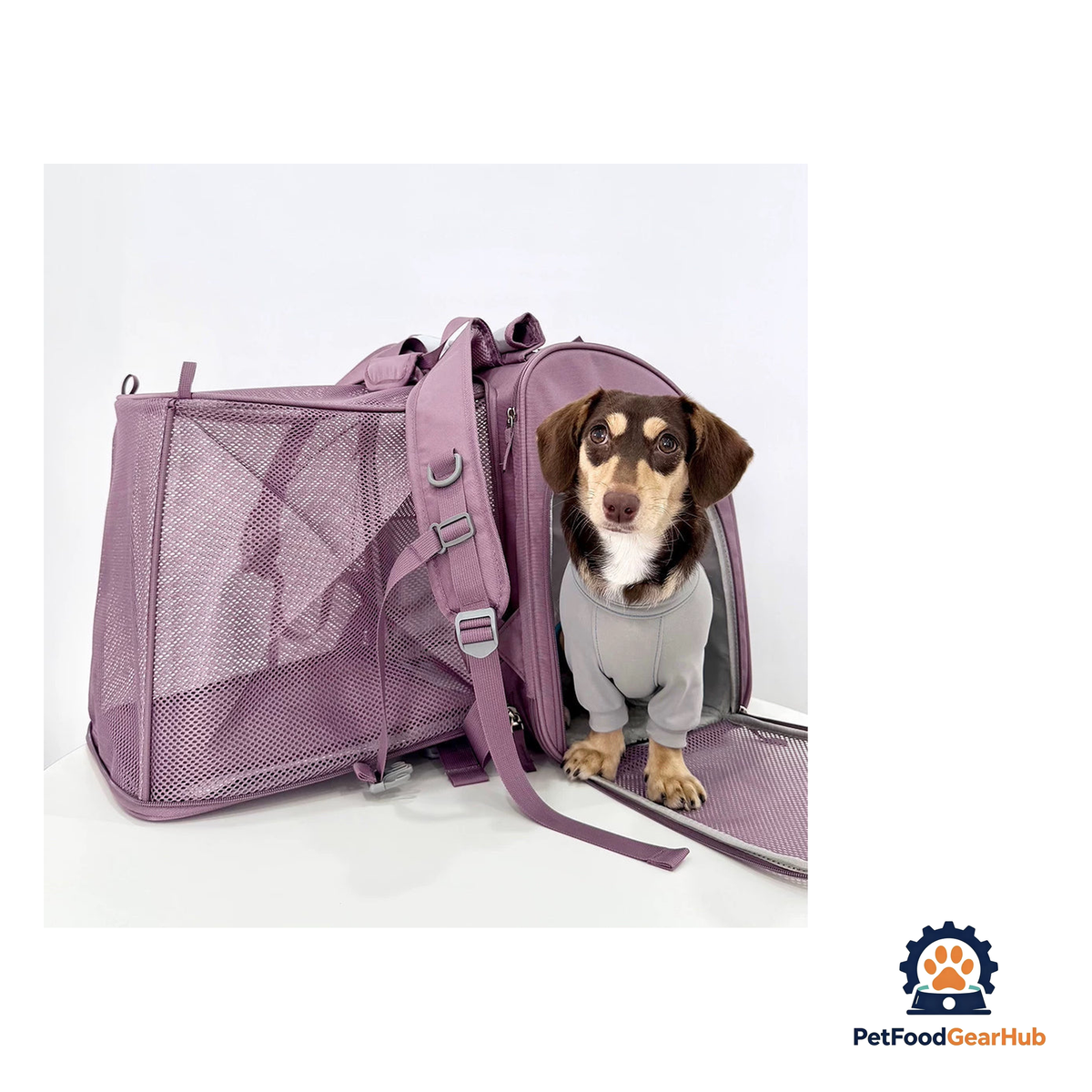 PetFoodGearHub Travel-Ready Expandable Pet Backpack - product image 15