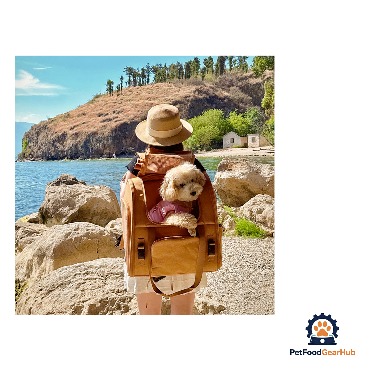 PetFoodGearHub Travel-Ready Expandable Pet Backpack - product image 21