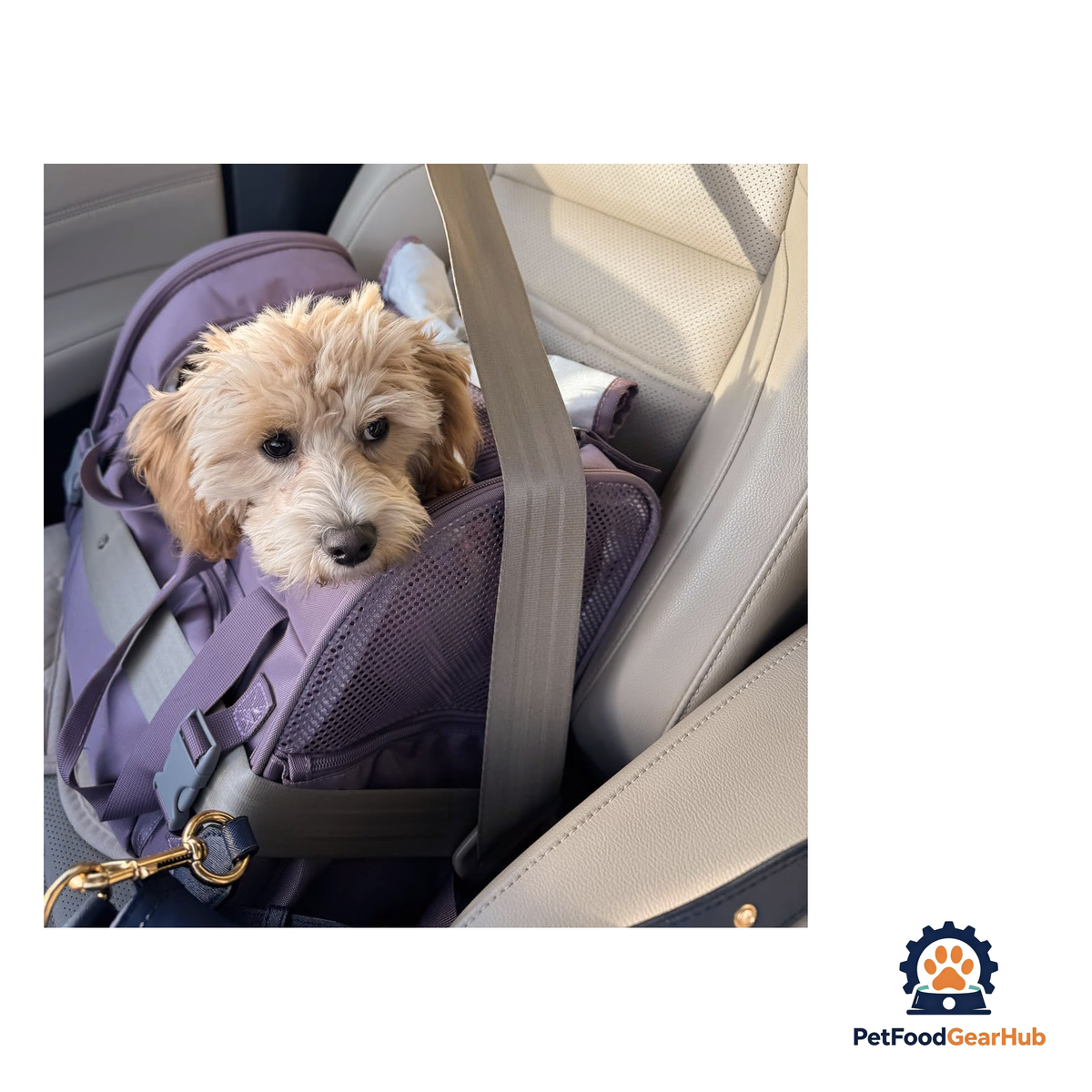 PetFoodGearHub Expandable Pet Travel Backpack - product image 24