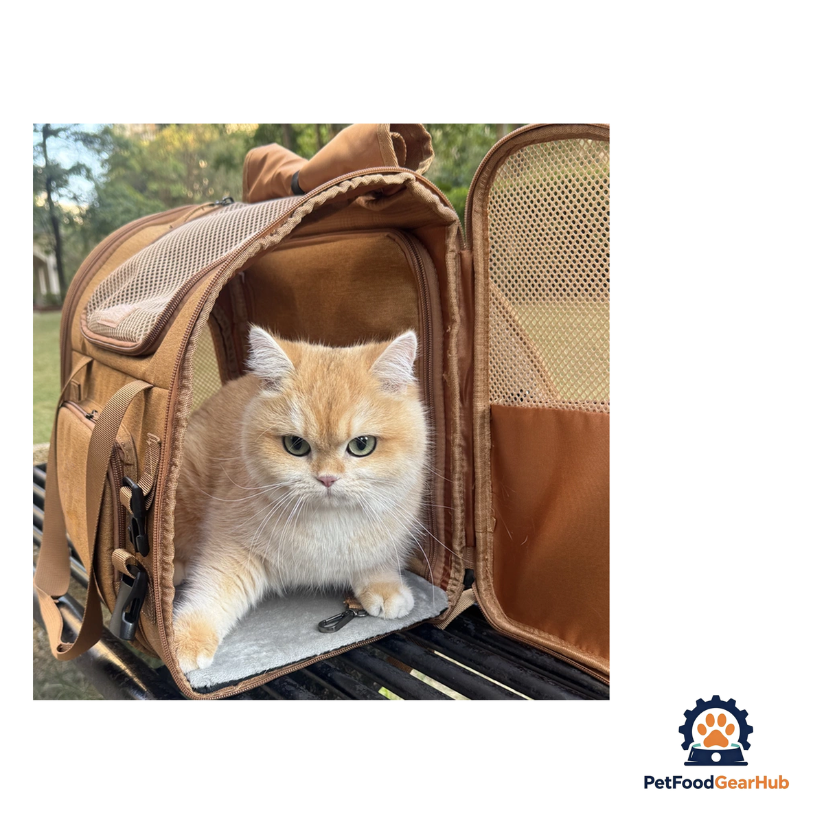 PetFoodGearHub Expandable Pet Travel Backpack - product image 28