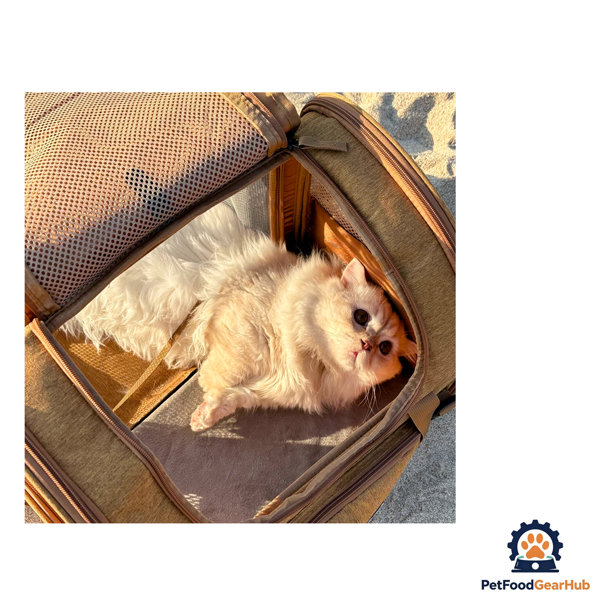 PetFoodGearHub Travel-Ready Expandable Pet Backpack - product image 37