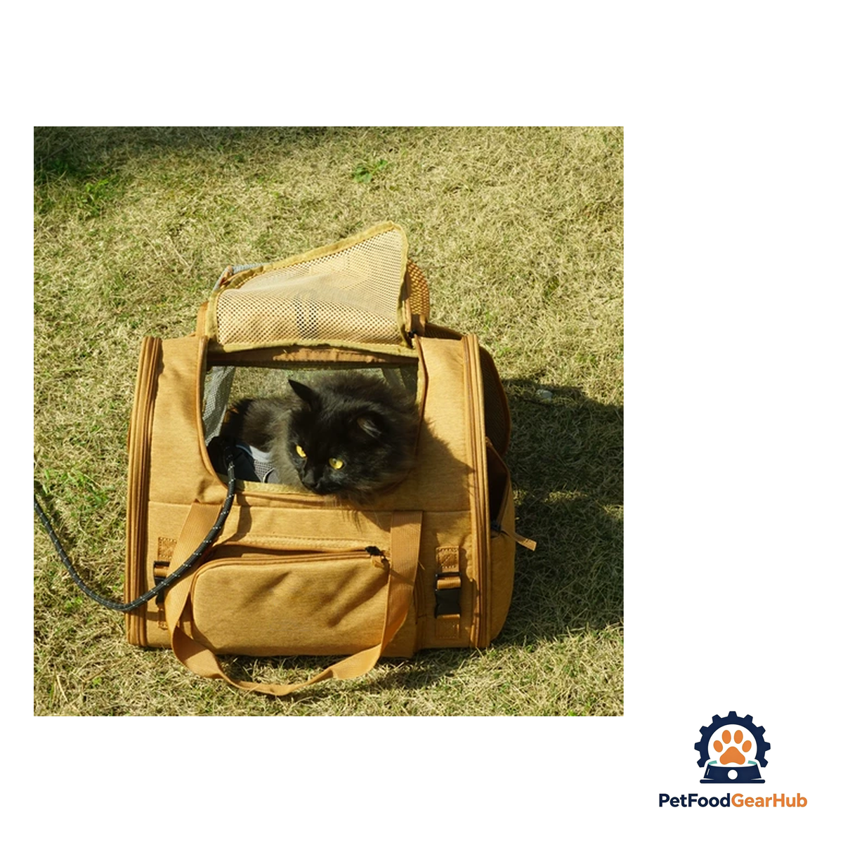 PetFoodGearHub Travel-Ready Expandable Pet Backpack - product image 39