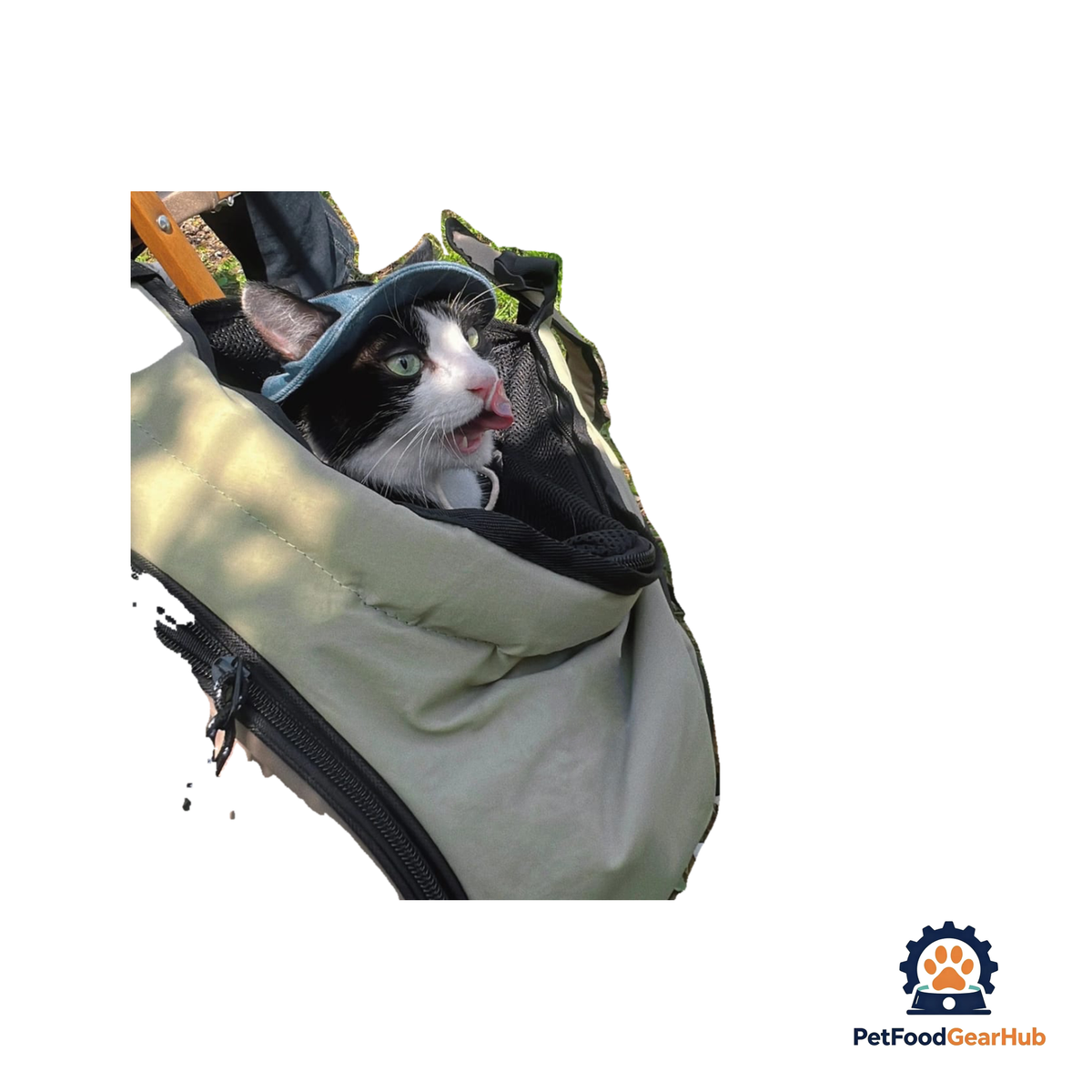 PetFoodGearHub Dual-Position Pet Carrier Backpack - product image 6