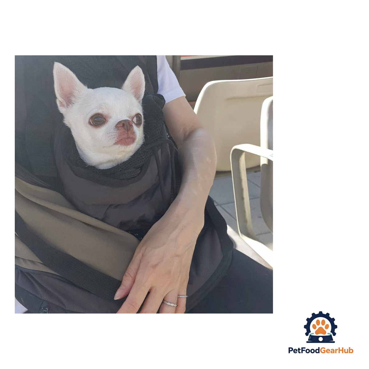 PetFoodGearHub Dual-Position Pet Backpack - product image 4