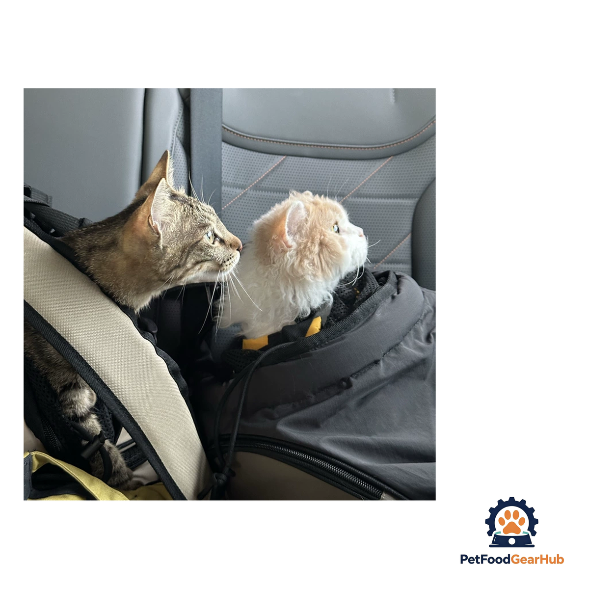 PetFoodGearHub Dual-Position Pet Carrier Backpack - product image 16