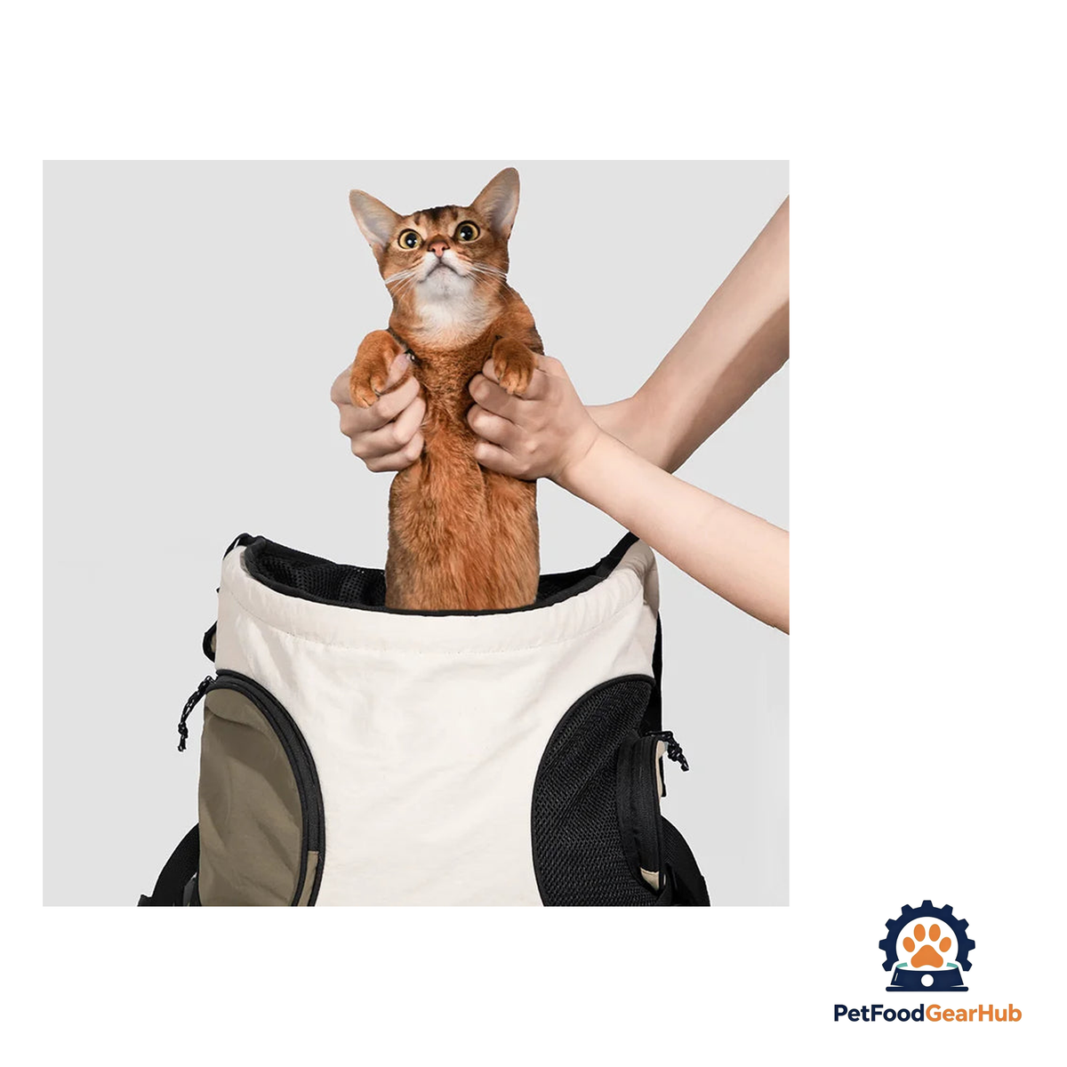 PetFoodGearHub Dual-Position Pet Carrier Backpack - product image 32