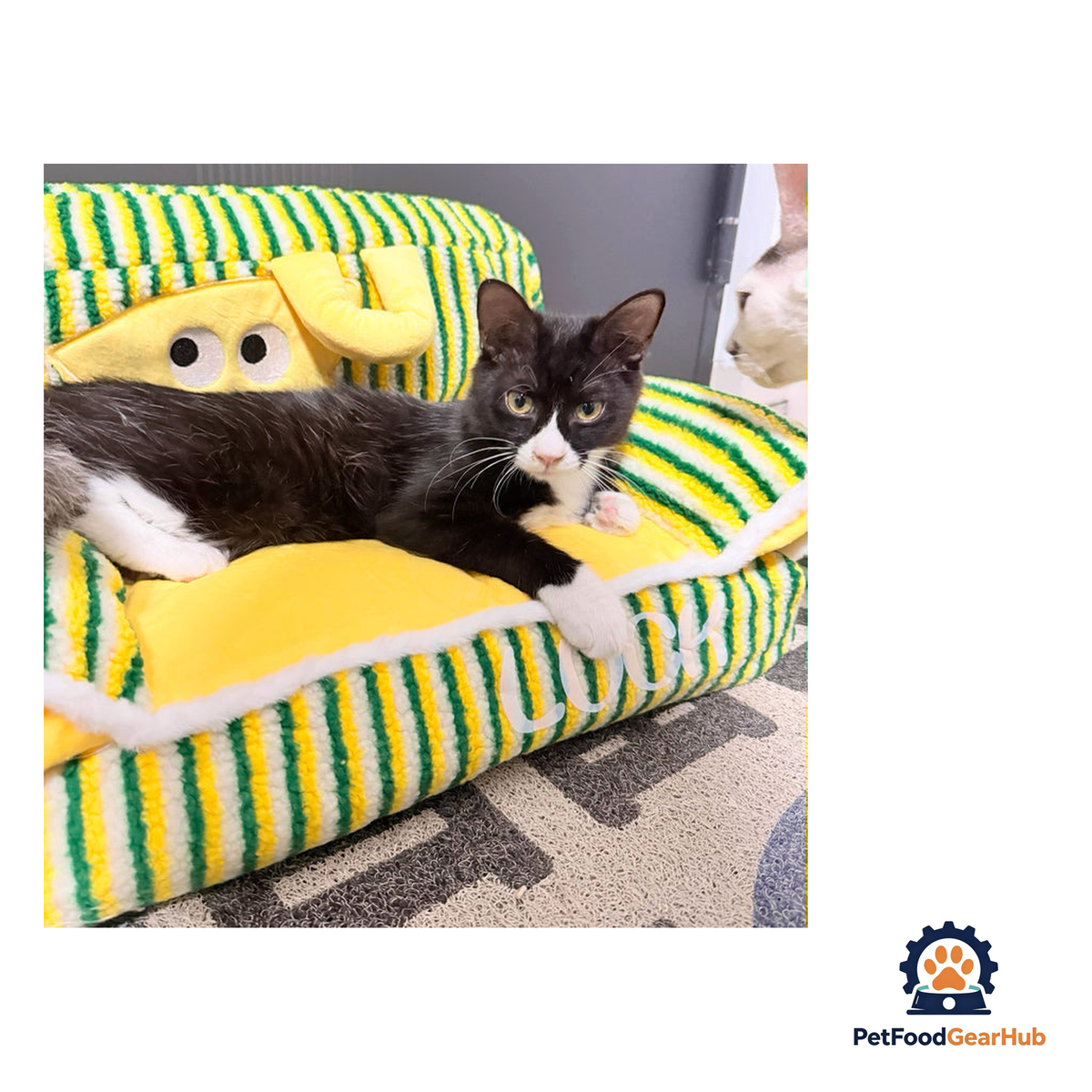 PetFoodGearHub Fluffy Pet Sofa Bed - product image 17