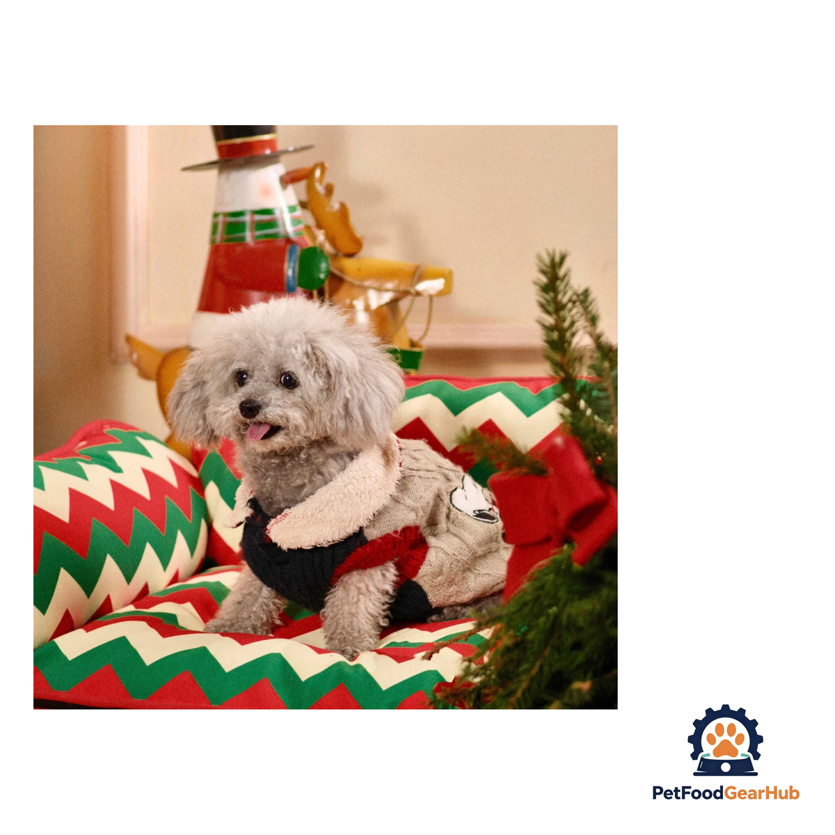 PetFoodGearHub Detachable Pet Sofa and Hammock - product image 10